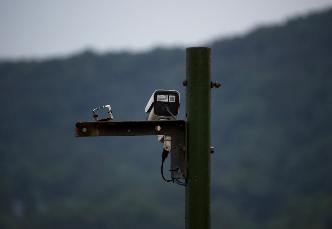 Indicação de Condutor vs. Real Infrator: Qual a Diferença Legal?